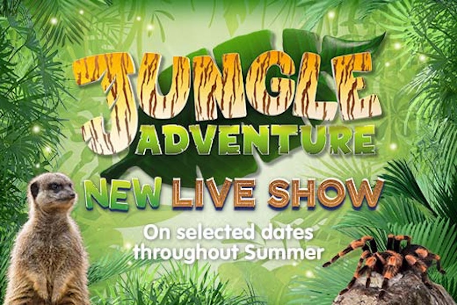 Live action Jungle Adventure show at Paultons Park.
