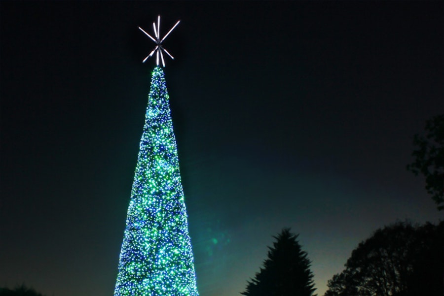 Marvellous Musical Christmas Tree