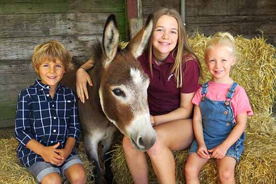 Longdown Activity Farm