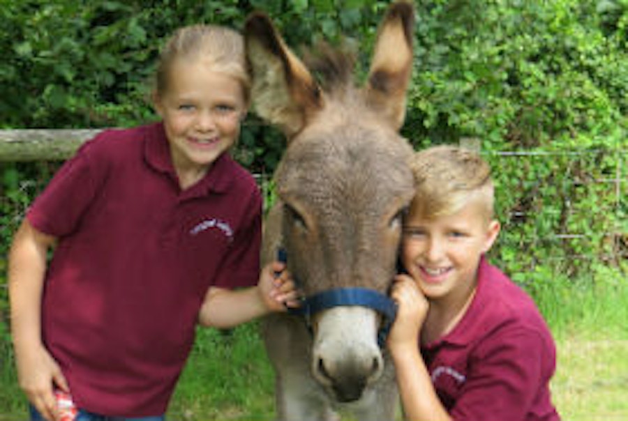 Longdown Activity Farm