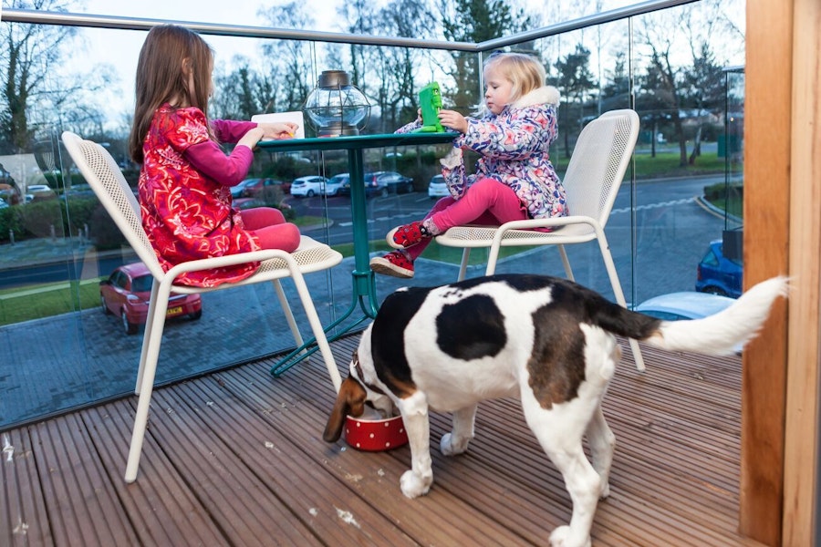 Kids and dog eating in Lodge at Solent