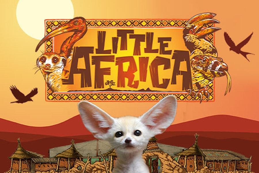 Meet exotic animals in Little Africa at Paultons Park.