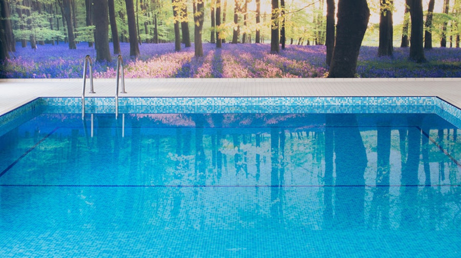 Forest Lodge -  pool